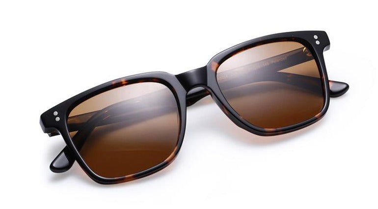 Designer tortoise hotsell shell sunglasses