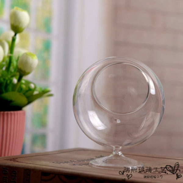 Chic Glass Hydroponic Plant/Flower Vase