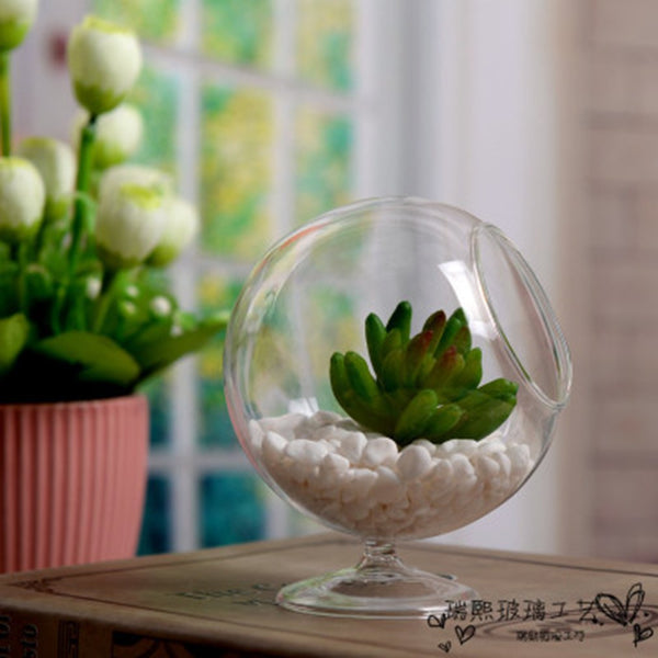 Chic Glass Hydroponic Plant/Flower Vase