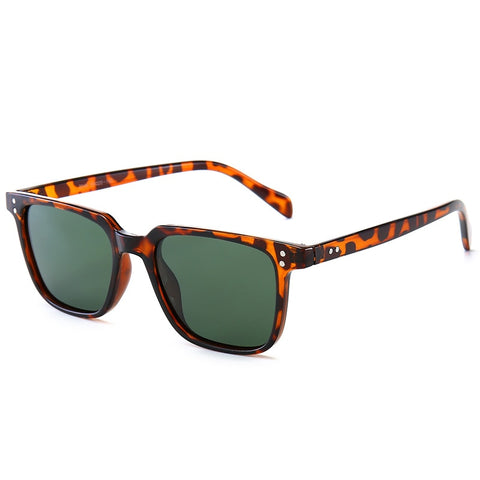 Men's Modern Tortoise Shell Dark Lens Transparent Sunglasses